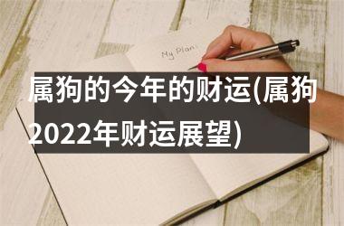 属狗的今年的财运(属狗2025年财运展望)