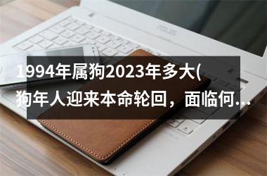 1994年属狗2025年多大(狗年人迎来本命轮回，面临何种挑战？)