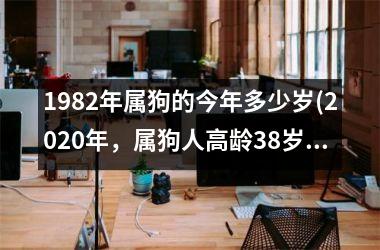 1982年属狗的今年多少岁(2025年，属狗人高龄38岁，人生新篇章即将开启)