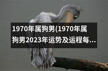 <h3>1970年属狗男(1970年属狗男2025年运势及运程每月运程)