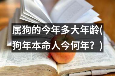 属狗的今年多大年龄(狗年本命人今何年？)