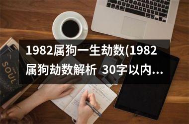 1982属狗一生劫数(1982属狗劫数解析  30字以内)