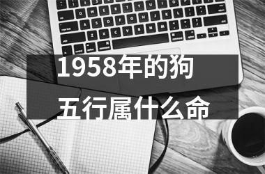 1958年的狗五行属什么命