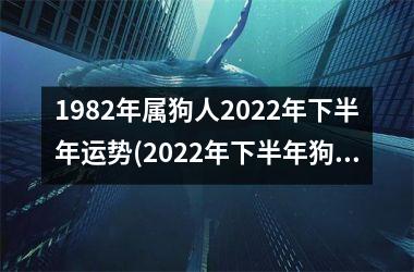1982年属狗人2022年下半年运势(2022年下半年狗年运势大揭晓！)