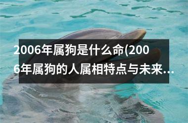 <h3>2006年属狗是什么命(2006年属狗的人属相特点与未来发展。)