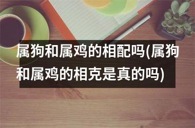 属狗和属鸡的相配吗(属狗和属鸡的相克是真的吗)