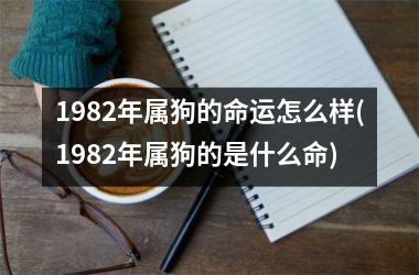 1982年属狗的命运怎么样(1982年属狗的是什么命)