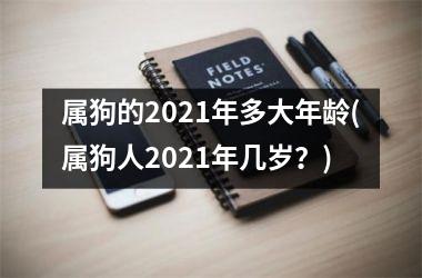 属狗的2025年多大年龄(属狗人2025年几岁？)