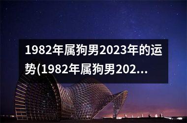 1982年属狗男2025年的运势(1982年属狗男2025年运势及运程)