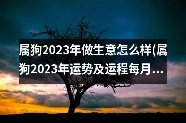 属狗2025年做生意怎么样(属狗2025年运势及运程每月运程)