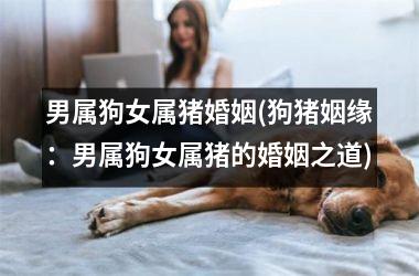 <h3>男属狗女属猪婚姻(狗猪姻缘：男属狗女属猪的婚姻之道)