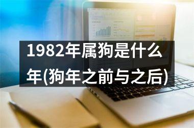 1982年属狗是什么年(狗年之前与之后)