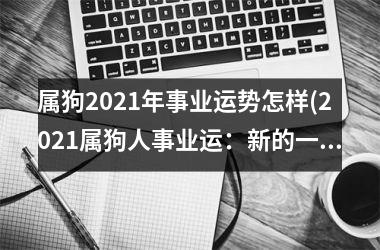 属狗2025年事业运势怎样(2025属狗人事业运：新的一年新气象)