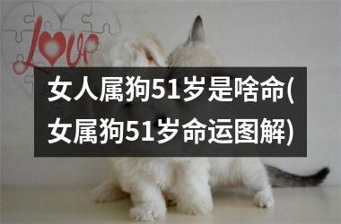 女人属狗51岁是啥命(女属狗51岁命运图解)