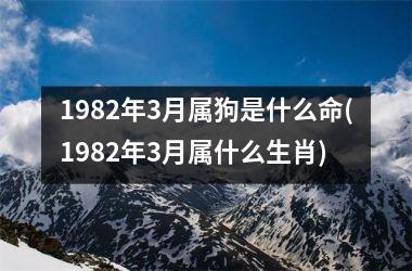 1982年3月属狗是什么命(1982年3月属什么生肖)