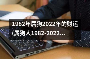 1982年属狗2025年的财运(属狗人1982-2025财运展望)