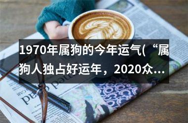 <h3>1970年属狗的今年运气(“属狗人独占好运年，2025众生皆惊艳！”)