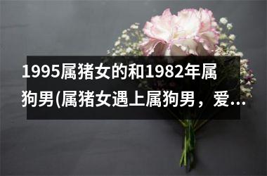 <h3>1995属猪女的和1982年属狗男(属猪女遇上属狗男，爱情如何？)