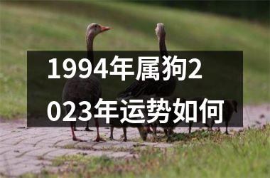 1994年属狗2025年运势如何