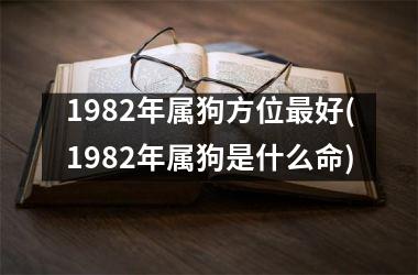 1982年属狗方位好(1982年属狗是什么命)