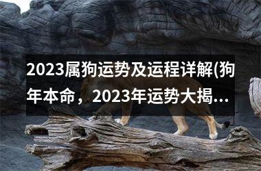 2023属狗运势及运程详解(狗年本命，2023年运势大揭秘！)