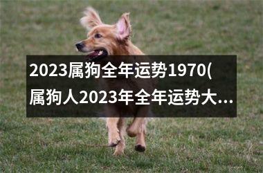 <h3>2025属狗全年运势1970(属狗人2025年全年运势大揭秘)