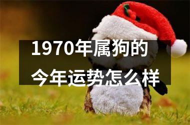 1970年属狗的今年运势怎么样