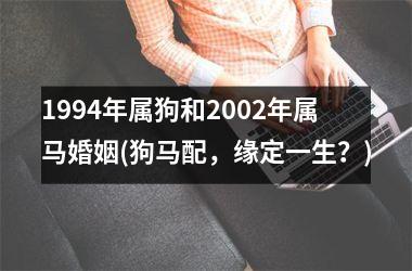 <h3>1994年属狗和2002年属马婚姻(狗马配，缘定一生？)