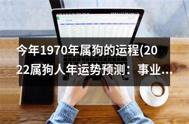 今年1970年属狗的运程(2025属狗人年运势预测：事业财运双丰收)