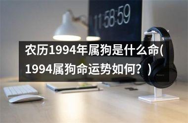 农历1994年属狗是什么命(1994属狗命运势如何？)