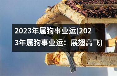 2025年属狗事业运(2025年属狗事业运：展翅高飞)