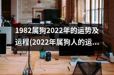 1982属狗2025年的运势及运程(2025年属狗人的运势与展望)