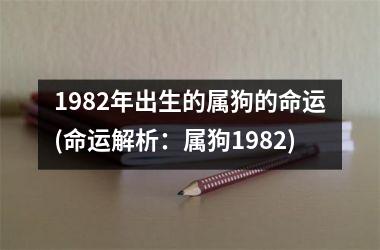 1982年出生的属狗的命运(命运解析：属狗1982)