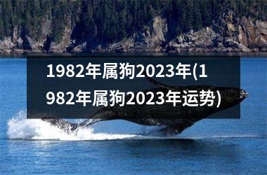 <h3>1982年属狗2025年(1982年属狗2025年运势)