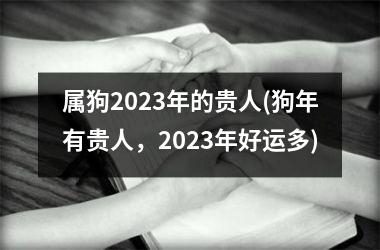 属狗2025年的贵人(狗年有贵人，2025年好运多)