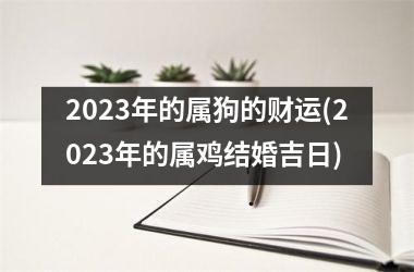 2025年的属狗的财运(2025年的属鸡结婚吉日)