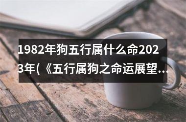 1982年狗五行属什么命2025年(《五行属狗之命运展望》)