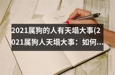 2025属狗的人有天塌大事(2025属狗人天塌大事：如何应对？)