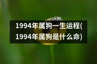 1994年属狗一生运程(1994年属狗是什么命)