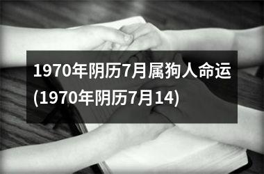 1970年阴历7月属狗人命运(1970年阴历7月14)