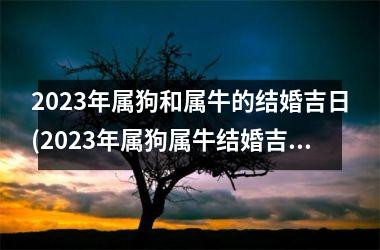 <h3>2025年属狗和属牛的结婚吉日(2025年属狗属牛结婚吉日指南)