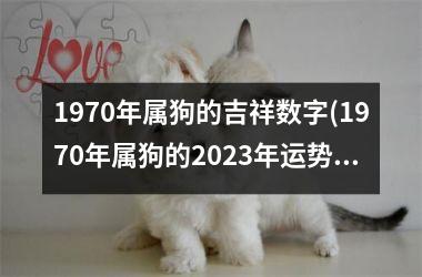 1970年属狗的吉祥数字(1970年属狗的2023年运势和财运怎么样)