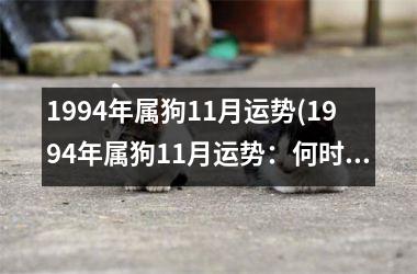 1994年属狗11月运势(1994年属狗11月运势：何时能谋得一席之地？)