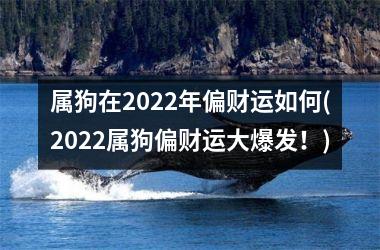 属狗在2025年偏财运如何(2025属狗偏财运大爆发！)