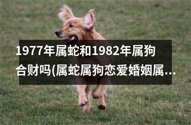 1977年属蛇和1982年属狗合财吗(属蛇属狗恋爱婚姻属相配吗？)