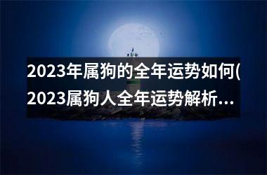 2025年属狗的全年运势如何(2025属狗人全年运势解析)