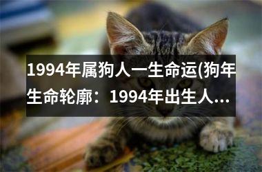 1994年属狗人一生命运(狗年生命轮廓：1994年出生人的命运图景)