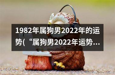 1982年属狗男2025年的运势(“属狗男2025年运势大揭秘”)