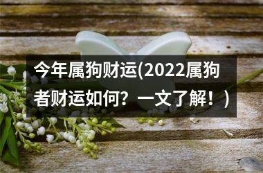 今年属狗财运(2025属狗者财运如何？一文了解！)