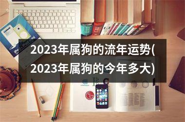 <h3>2025年属狗的流年运势(2025年属狗的今年多大)